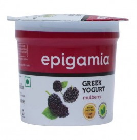 Epigamia Green Yogurt Mulberry   Cup  90 grams
